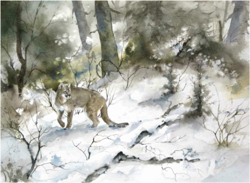 Karen Lenhart artist, The Silent One watercolor painting of a mountain lion in snow